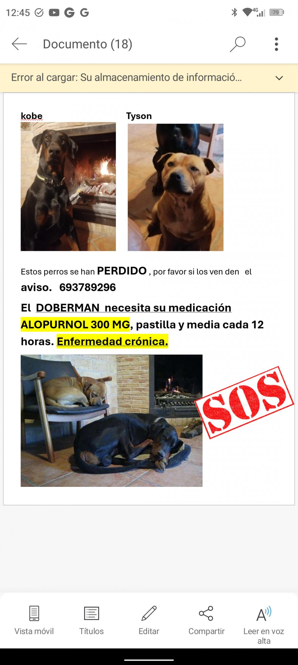 Perro perdido DÓBERMAN en Herencia (Ciudad Real)