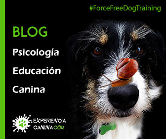 Experiencia Canina - Psicología y educación canina sin aversivos 
