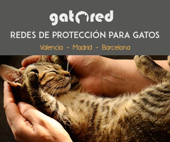 Redes de protección para Gatos en Valencia, Barcelona y Madrid